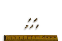 F 14500
<br/>
<br/>
<em></em>